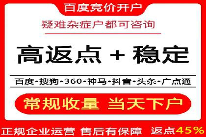 竞价广告的创意与执行：经典案例剖析